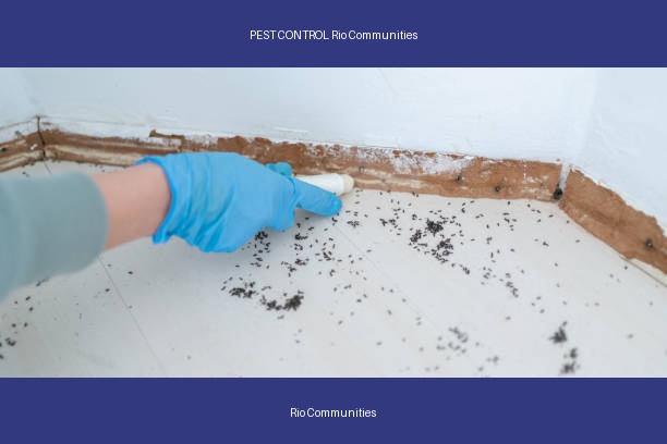 PEST CONTROL Rio Communities
